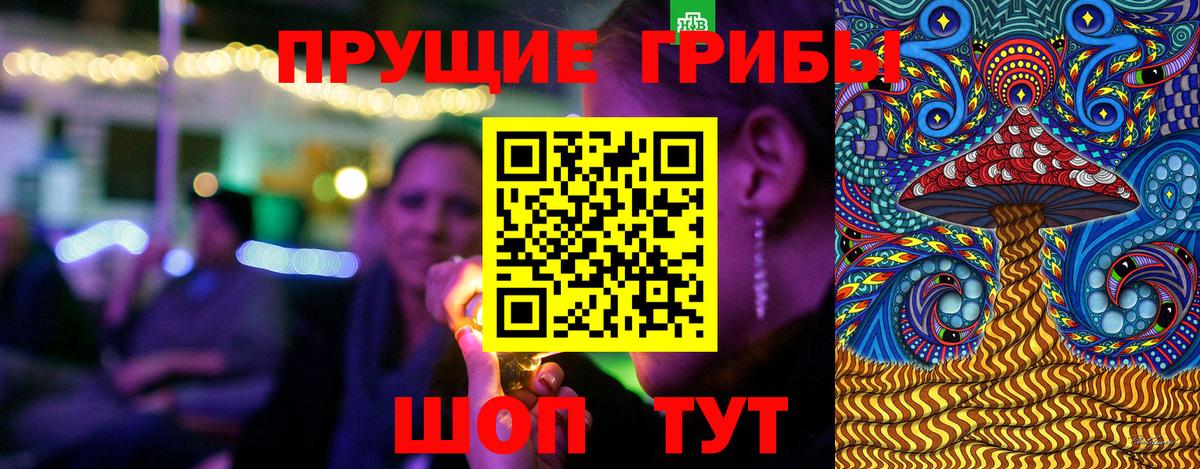 Псилоцибиновые грибы прущие грибы  Вход с VPN  Псилоцибиновые грибы GOLDEN TEACHER  даркнет сайт  Набережные Челны 